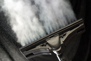 steam kills bed bugs anywhere